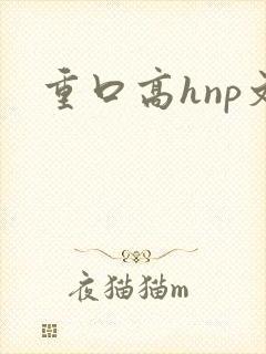 重口高hnp文