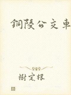 铜陵公交车站
