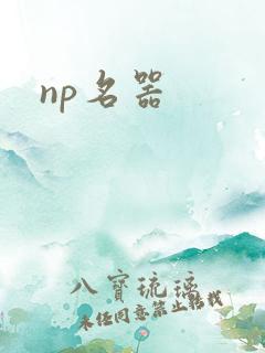 np名器