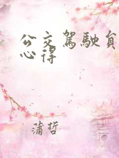 公交驾驶员服务心得