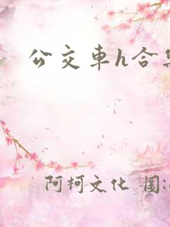 公交车h合集