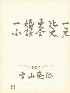一婚更比一婚高小说全文免费阅读