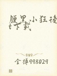 腹黑小狂后txt下载