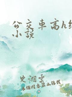 公交车高h纯肉小说