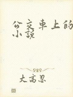 公交车上的艳情小说