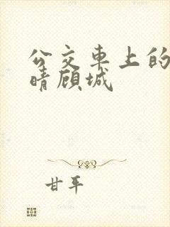 公交车上的诗请晴顾城