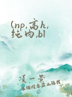 (np,高h,纯肉,bl