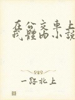 在公交车上强进我体内小说