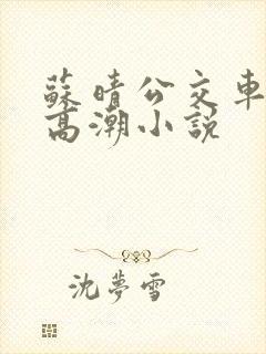苏晴公交车被弄高潮小说