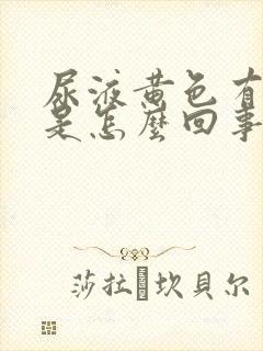 尿液黄色有泡沫是怎么回事