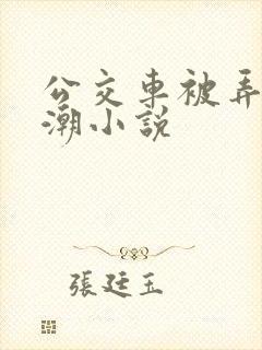 公交车被弄到高潮小说