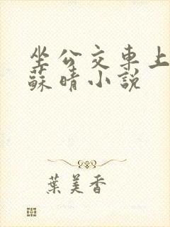 坐公交车上班的苏晴小说