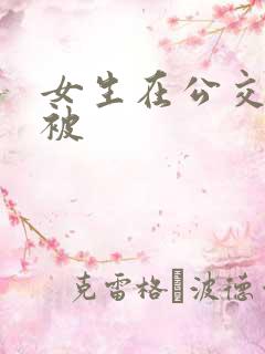 女生在公交车上被