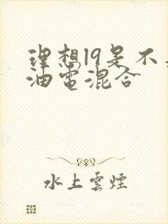 理想l9是不是油电混合