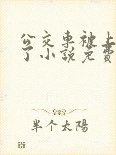 公交车被上高潮了小说免费阅读