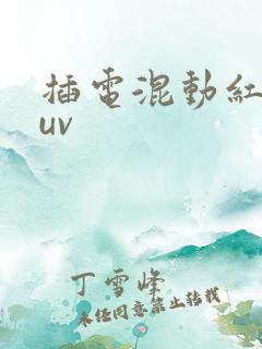 插电混动红旗suv