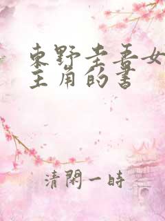 东野圭吾女性为主角的书