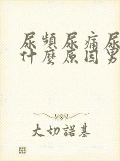 尿频尿痛尿不尽什么原因男性