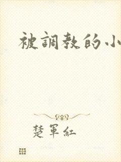 被调教的小骚货