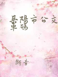 岳阳市公交车乘车码