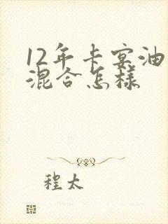 12年卡宴油电混合怎样