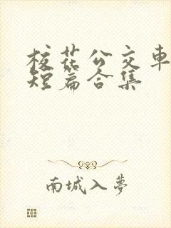 校花公交车爽文短篇合集