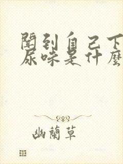 闻到自己下身有尿味是什么病