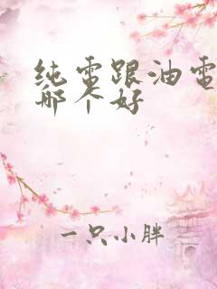 纯电跟油电混合哪个好