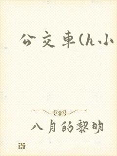 公交车(h小说