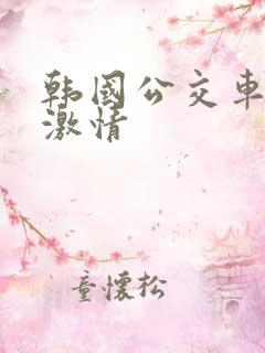 韩国公交车上的激情