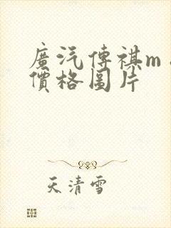 广汽传祺m 8价格图片
