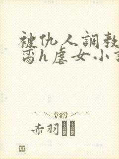 被仇人调教成禁脔h虐女小说