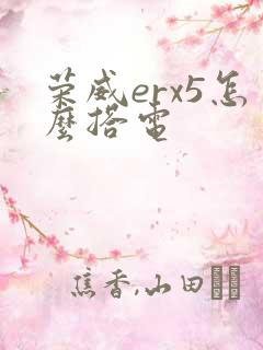 荣威erx5怎么搭电