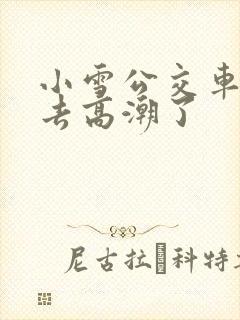 小雪公交车被进去高潮了