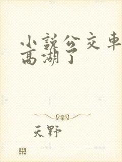 小说公交车被上高湖了