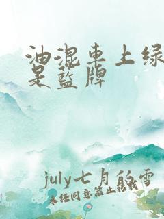 油混车上绿牌还是蓝牌