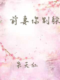 前妻你别躲