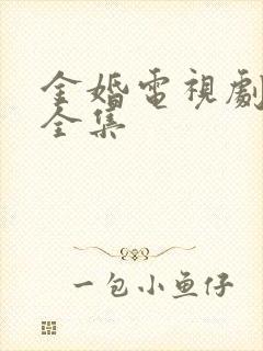 金婚电视剧免费全集