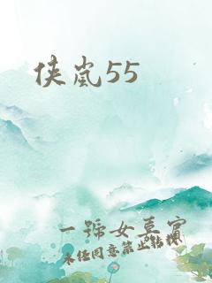 侠岚55