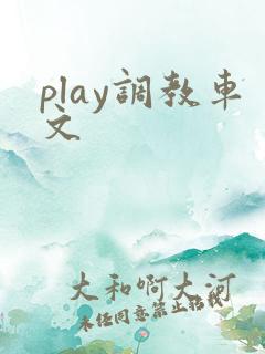 play调教车文