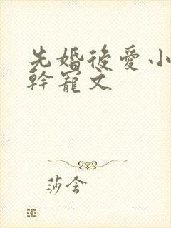 先婚后爱小说高干宠文