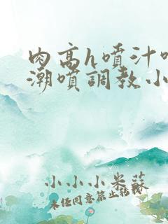 肉高h喷汁呻吟潮喷调教小说