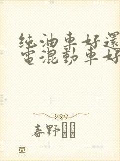 纯油车好还是油电混动车好