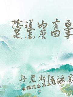 阴道内有鱼腥味是怎么回事