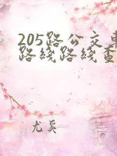 205路公交车路线路线查询时间