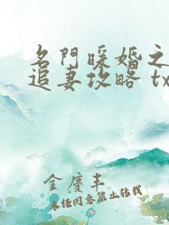 名门暖婚之权爷追妻攻略 txt下载