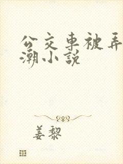 公交车被弄到高潮小说
