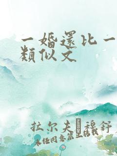 一婚还比一婚高类似文