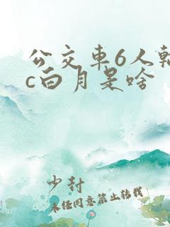 公交车6人轮换c白月是啥