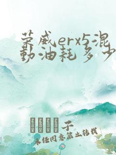 荣威erx5混动油耗多少钱一公里